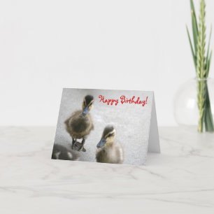 Tarjeta Feliz cumpleaños, Ducklings