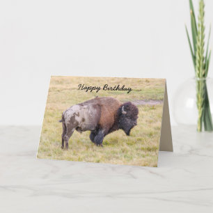 Tarjeta Feliz cumpleaños, Dusty Bison Bull Humor