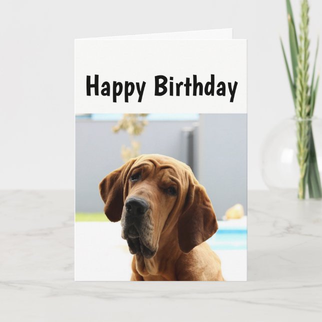 Tarjeta Feliz cumpleaños, Edad Media por el perro del humo (Anverso)