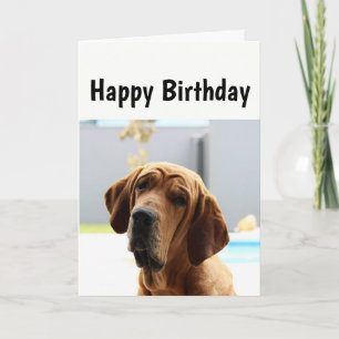 Tarjeta Feliz cumpleaños, Edad Media por el perro del humo
