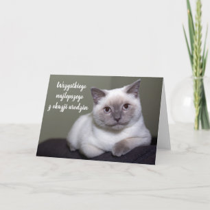Tarjeta Feliz cumpleaños en blanco y lindo gato polaco en