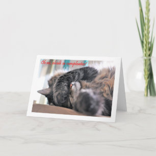 Tarjeta Feliz cumpleaños español con gatito