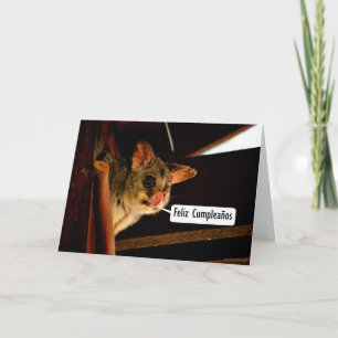 Tarjeta Feliz cumpleaños español con possum