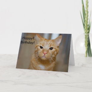 Tarjeta ¿Feliz? Cumpleaños! (Este gato parece gruñón)