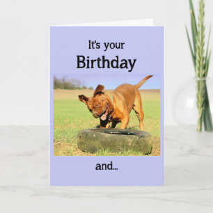 Tarjeta Feliz cumpleaños Feliz deseo de diversión para per