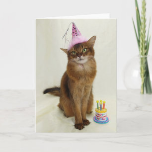 Tarjeta Feliz cumpleaños, Fiesta, gato somalí