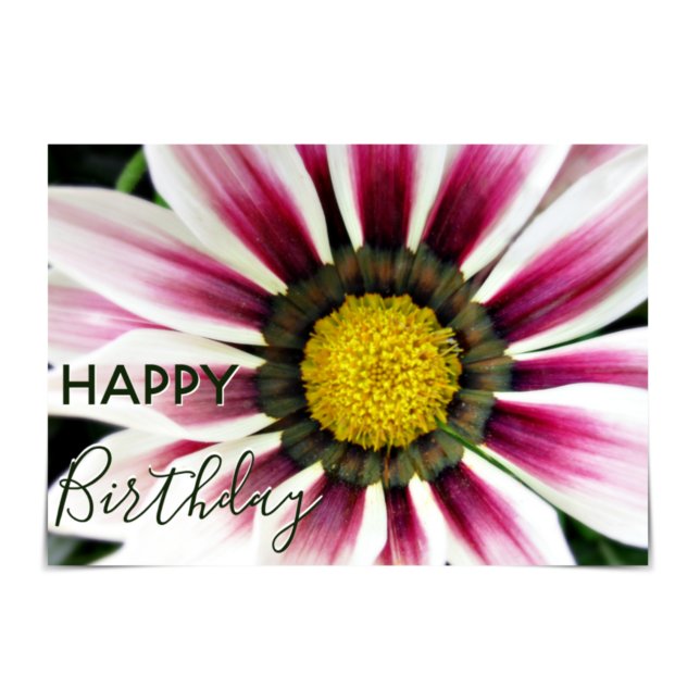Tarjeta "Feliz cumpleaños" Flor morada de Gazania morada (Subido por el creador)