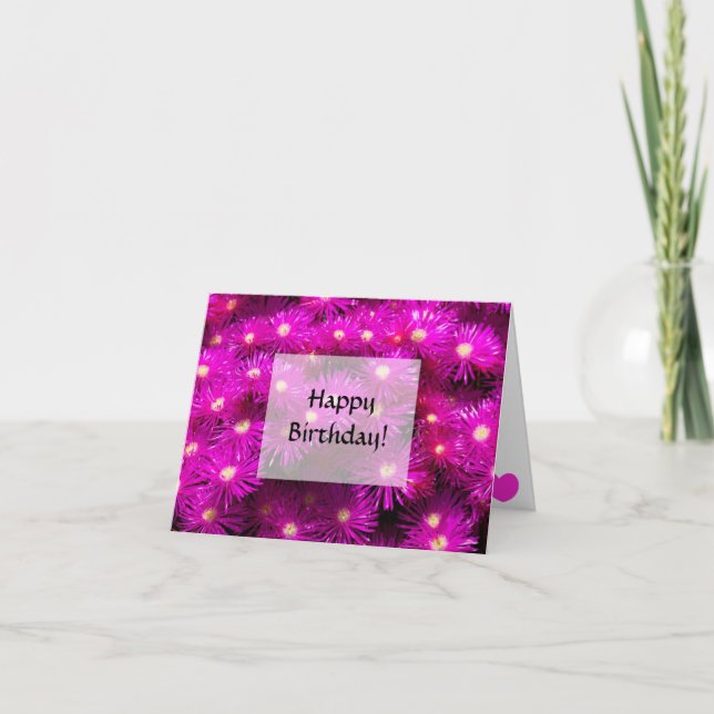Tarjeta Feliz Cumpleaños. Flores de Aster Rosa (Anverso)