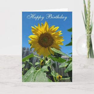 Tarjeta Feliz cumpleaños, foto de girasol