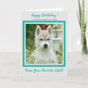 Tarjeta Feliz cumpleaños - Foto de Mascota - Mejor madre d