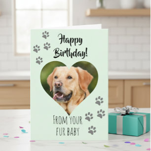 Tarjeta Feliz cumpleaños, foto de perro, Mascota de gato p