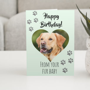 Tarjeta Feliz cumpleaños, foto de perro, Mascota de gato p