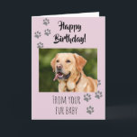 Tarjeta Feliz cumpleaños, foto de perro, Mascota de gato p<br><div class="desc">Este diseño se creó a través del arte digital. Puede ser personalizado en el área de proporcionar o personalizar eligiendo la opción de pulsar para personalizar y cambiando el nombre, las iniciales o las palabras. También puede cambiar el color y estilo del texto o eliminar el texto para un diseño...</div>