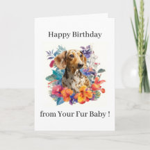 Feliz Cumpleaños Foto Perro Gato Mascota Bebé Pelu
