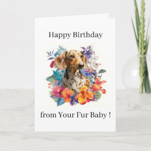 Tarjeta Feliz Cumpleaños Foto Perro Gato Mascota Bebé Pelu