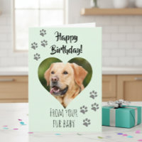 Feliz Cumpleaños Foto Perro Gato Mascota Bebé Pelu