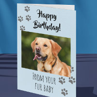 Feliz Cumpleaños Foto Perro Gato Mascota Bebe Pelu