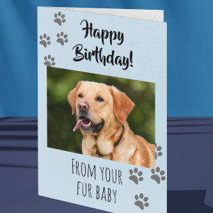 Tarjeta Feliz Cumpleaños Foto Perro Gato Mascota Bebe Pelu