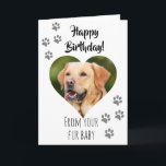 Tarjeta Feliz Cumpleaños Foto Perro Gato Mascota Bebé Pelu<br><div class="desc">Este diseño fue creado mediante arte digital. Puede personalizarse en el área proporcionada o personalizarse aún más eligiendo la opción "haga clic para personalizar" y cambiando el nombre, las iniciales o las palabras. También puede cambiar el color y el estilo del texto o eliminar el texto para obtener un diseño...</div>