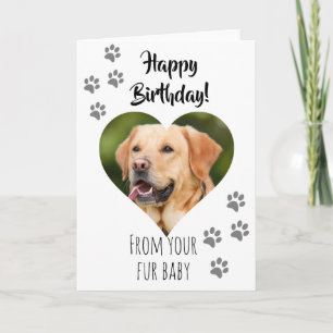 Tarjeta Feliz Cumpleaños Foto Perro Gato Mascota Bebé Pelu