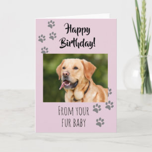 Tarjeta Feliz Cumpleaños Foto Perro Gato Mascota Bebe Pelu