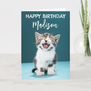 Tarjeta Feliz Cumpleaños   Gatito bebé maullando