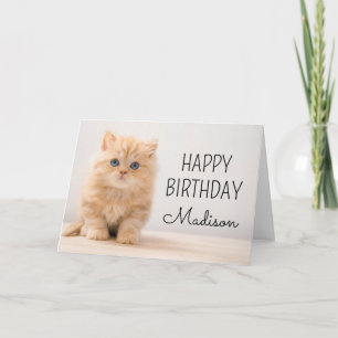 Tarjeta Feliz Cumpleaños   Gatito británico de pelo largo