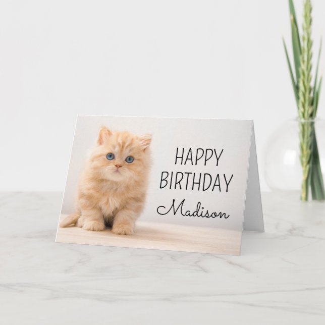 Tarjeta Feliz Cumpleaños | Gatito británico de pelo largo (Anverso)