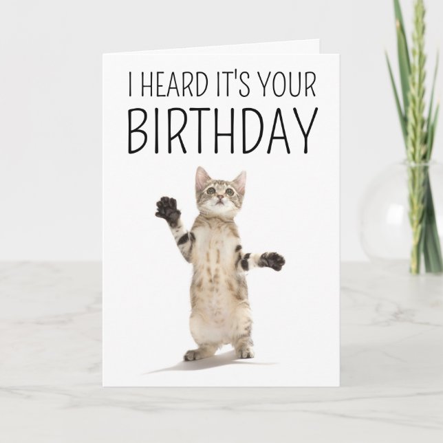Tarjeta Feliz Cumpleaños | Gatito en Blanco (Anverso)