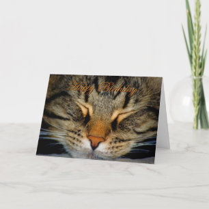 Tarjeta Feliz cumpleaños gatito gatito gatito deseos de cu