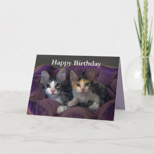 Tarjeta Feliz cumpleaños gatito par en una cama morada