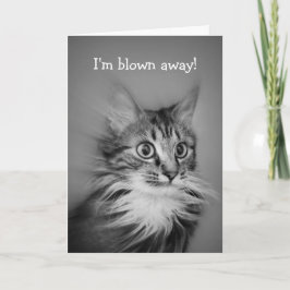 Tarjeta Feliz Cumpleaños Gato Asombroso Con Ruptura De Cue