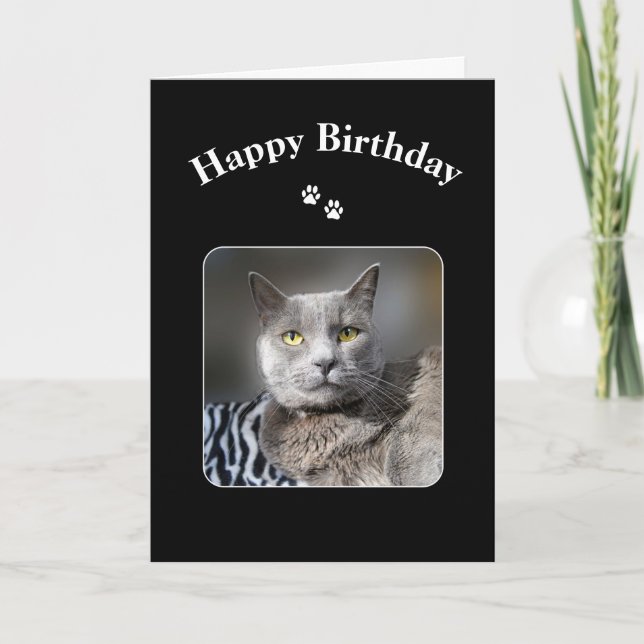 Tarjeta Feliz cumpleaños, gato azul ruso (Anverso)