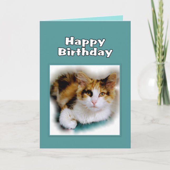 Tarjeta Feliz cumpleaños, gato calico (Anverso)