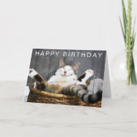 Feliz Cumpleaños | Gato en Cama