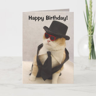 Tarjeta ¡Feliz cumpleaños, gato Guay!