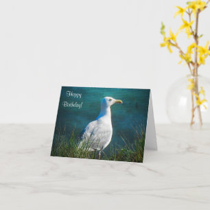 Tarjeta Feliz cumpleaños Gaviota