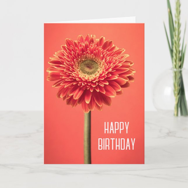 Tarjeta Feliz Cumpleaños | Gerbera Daisy de Barberton Roja (Anverso)