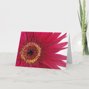 Tarjeta Feliz cumpleaños - gerbera rojo