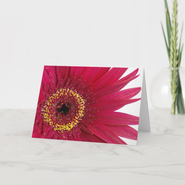 Tarjeta Feliz cumpleaños - gerbera rojo (Anverso)