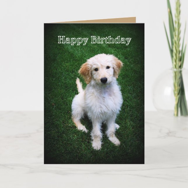 Tarjeta Feliz cumpleaños Golden Doodle Puppy (Anverso)