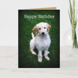 Tarjeta Feliz cumpleaños Golden Doodle Puppy