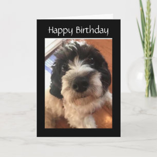 TARJETA FELIZ *CUMPLEAÑOS* HACES MIS LAGUNAS DE TAIL