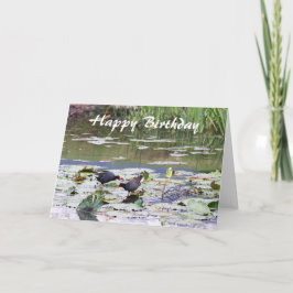 Tarjeta Feliz cumpleaños Hawaiian Common Moorhen, Lily Pon