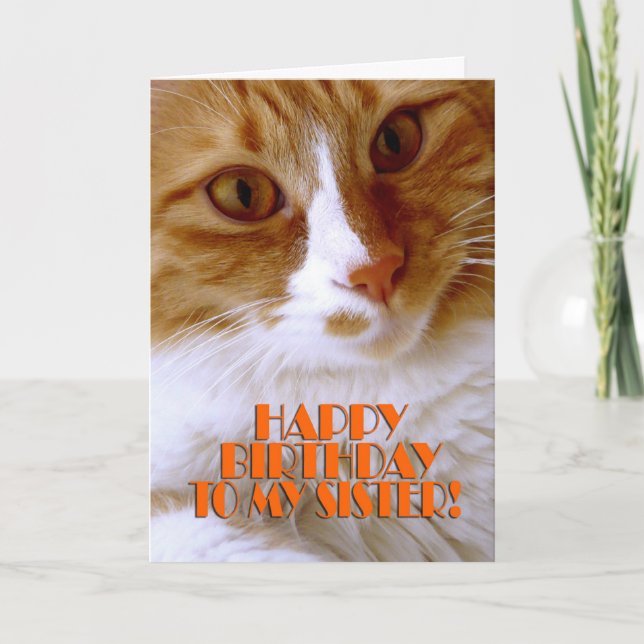 Tarjeta Feliz Cumpleaños Hermana - Gato Dulce (Anverso)