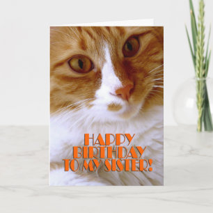 Tarjeta Feliz Cumpleaños Hermana - Gato Dulce