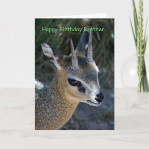 Tarjeta Feliz cumpleaños hermano