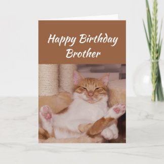 Tarjeta Feliz cumpleaños, hermano celebra a un gato gracio