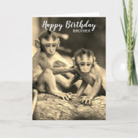 Feliz Cumpleaños Hermano Cumpleaños Monos Lindos