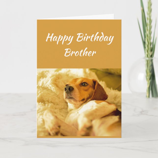 Tarjeta Feliz cumpleaños Hermano Divertido Animales (Anverso)